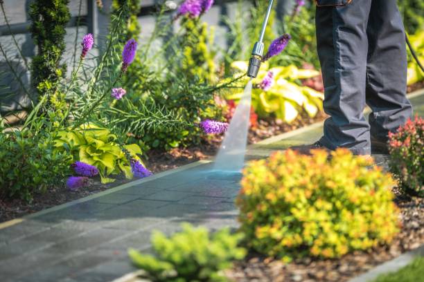Best Gutter Cleaning  in Remsenburg Speonk, NY