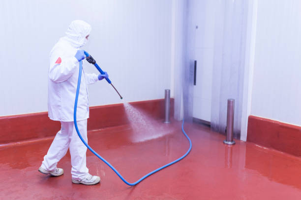 Paint Preparation in Remsenburg Speonk, NY